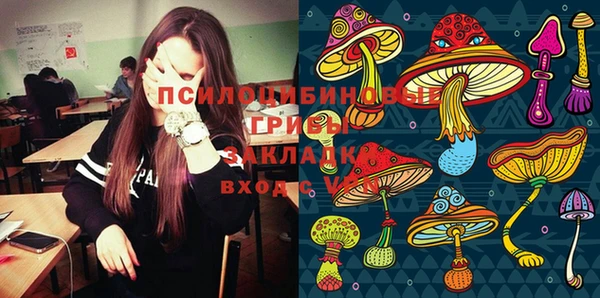 эйфоретик Богородицк