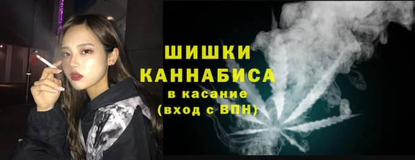 гидра Аркадак